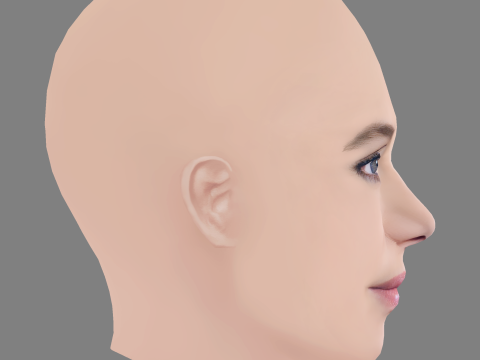 Laetitia Dosch Head - No Hair - Low poly head for game 3D Model