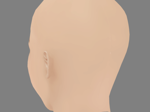 Jodelle Ferland Head - No Hair - Low poly head for game 3D Model