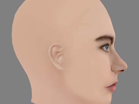 Isobel Jesper Jones Head - No Hair - Low poly head for game 3D 模型