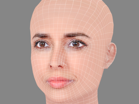 Inma Cuesta Head - No Hair - Low poly head for game 3Dモデル