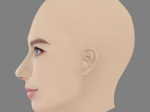 Indiana Evans Head - No Hair - Low poly head for game 3D 模型