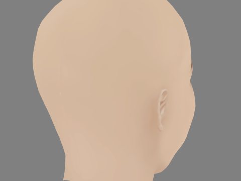 Indiana Evans Head - No Hair - Low poly head for game 3D 模型
