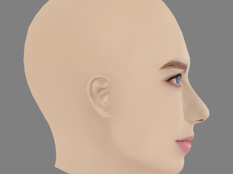 Indiana Evans Head - No Hair - Low poly head for game 3D 模型