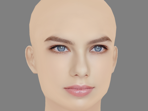 Indiana Evans Head - No Hair - Low poly head for game 3D 模型