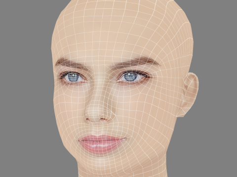 Indiana Evans Head - No Hair - Low poly head for game 3D 模型