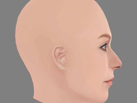Hunter Schafer Head - No Hair - Low poly head for game 3D Модель