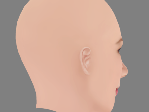 Holly Barrett Head - No Hair - Low poly head for game Model 3D