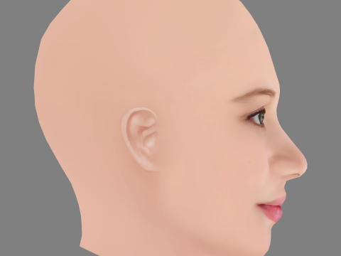 Holly Barrett Head - No Hair - Low poly head for game Model 3D