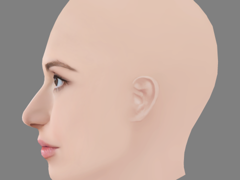 Hannah Vandenbygaart Head - No Hair - Low poly head for game 3D Model