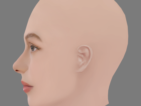 Hannah Dodd Head - No Hair - Low poly head for game Modèle 3D