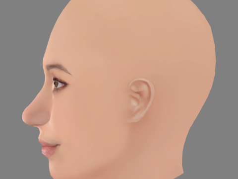Gideon Adlon Head - No Hair - Low poly head for game Model 3D