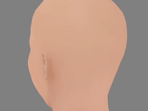 Gideon Adlon Head - No Hair - Low poly head for game Model 3D
