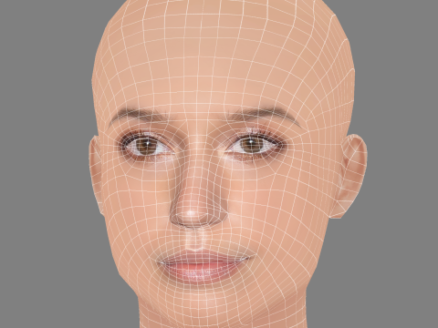 Gideon Adlon Head - No Hair - Low poly head for game Model 3D