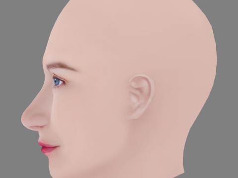 Evgeniya Malakhova Head - No Hair - Low poly head for game 3D Model