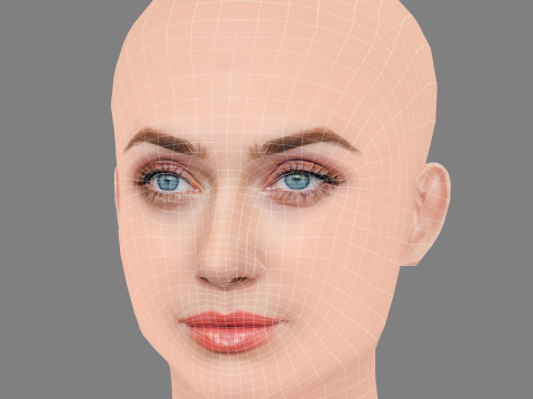 Elizabeth Debicki Head - No Hair - Low poly head for game Modèle 3D