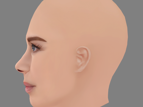 Elizaveta Boyarskaya Head - No Hair - Low poly head for game Modèle 3D