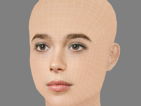 Ellen Page Head - No Hair - Low poly head for game Modello 3D