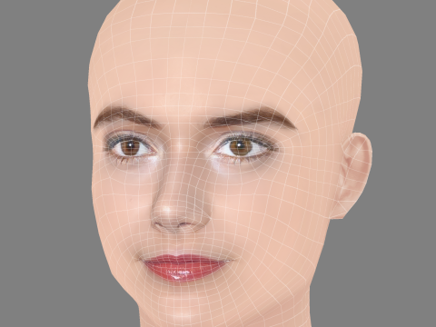 Emilia Jones Head - No Hair - Low poly head for game 3D 모델