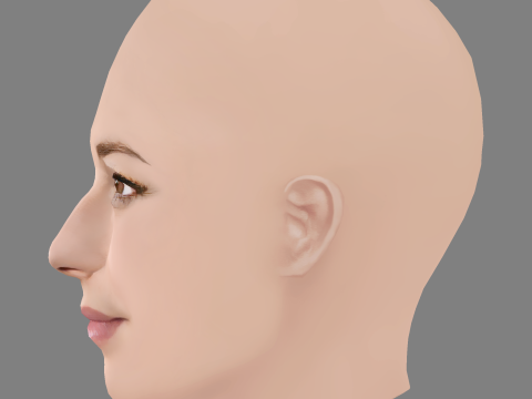 Emily VanCamp Head - No Hair - Low poly head for game Modello 3D