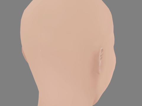 Emily VanCamp Head - No Hair - Low poly head for game Modello 3D