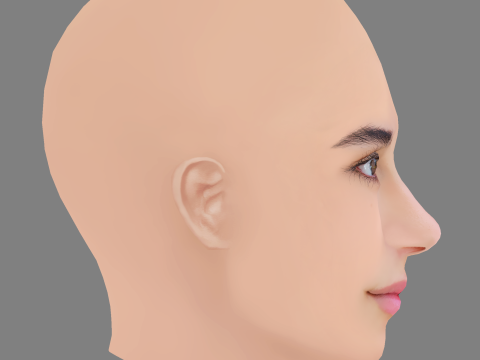 Allegra Teo Head - No Hair - Low poly head for game 3D 모델