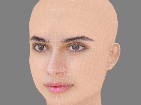 Allegra Teo Head - No Hair - Low poly head for game 3D 모델