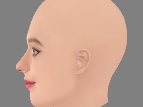 Dakota Fanning Head - No Hair - Low poly head for game Model 3D
