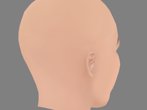 Dakota Fanning Head - No Hair - Low poly head for game Model 3D