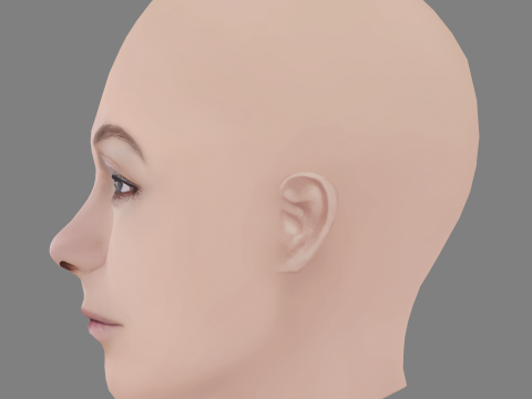 Darya Moroz Head - No Hair - Low poly head for game 3Dモデル