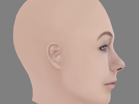 Darya Moroz Head - No Hair - Low poly head for game 3Dモデル