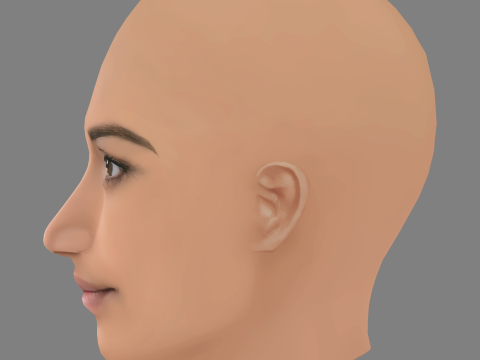 Amita Suman Head - No Hair - Low poly head for game 3D Model