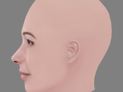 Anastasia Reshetnikova Head - No Hair - Low poly head for game Modelo 3D