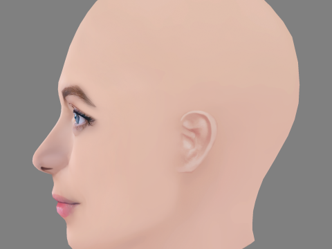 Anastasiya Meskova Head - No Hair - Low poly head for game 3Dモデル