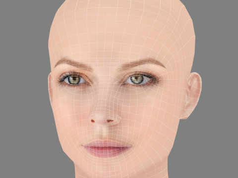 Anastasiya Stezhko Head - No Hair - Low poly head for game 3D-Modell