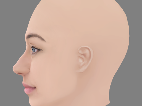 Andrea Trepat Head - No Hair - Low poly head for game 3Dモデル