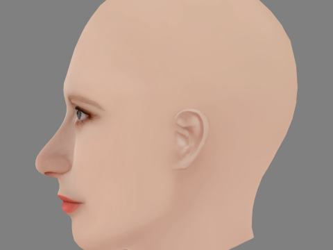 Angelina Mirimskaya Head - No Hair - Low poly head for game 3Dモデル