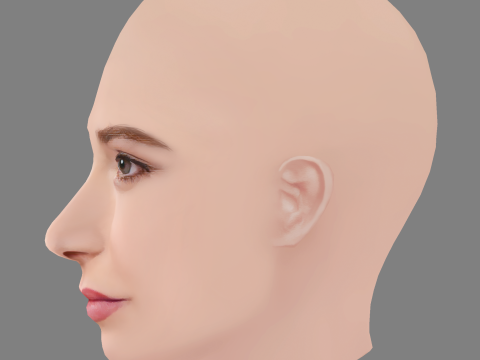 Ashleigh Cummings Head - No Hair - Low poly head for game 3D Model