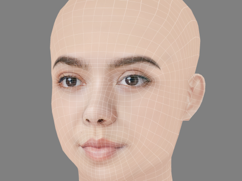 Aulii Cravalho Head - No Hair - Low poly head for game 3D Модель