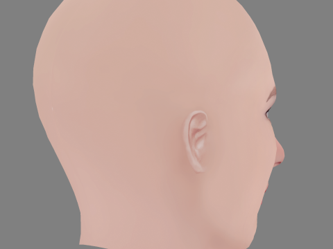Bianca Bin Head - No Hair - Low poly head for game 3D 모델