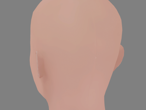 Bojana Novakovic Head - No Hair - Low poly head for game 3D Model