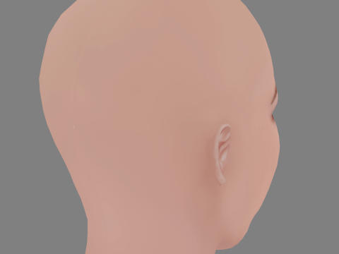 Bojana Novakovic Head - No Hair - Low poly head for game 3D Model