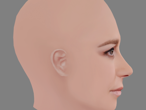 Bojana Novakovic Head - No Hair - Low poly head for game 3D Model