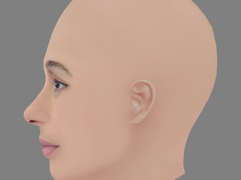 Camila Pitanga Head - No Hair - Low poly head for game 3D Model