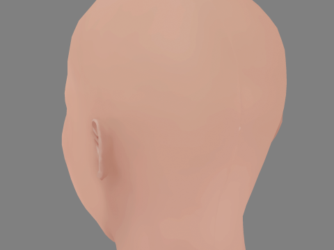 Carolina Dieckmann Head - No Hair - Low poly head for game 3D-Modell