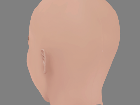 Denise Capezza Head - No Hair - Low poly head for game 3D Model
