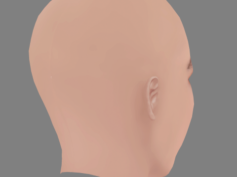 Denise Capezza Head - No Hair - Low poly head for game 3D Model