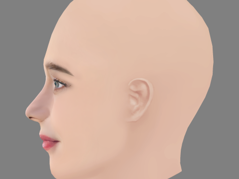 Denise Tantucci Head - No Hair - Low poly head for game 3D Модель