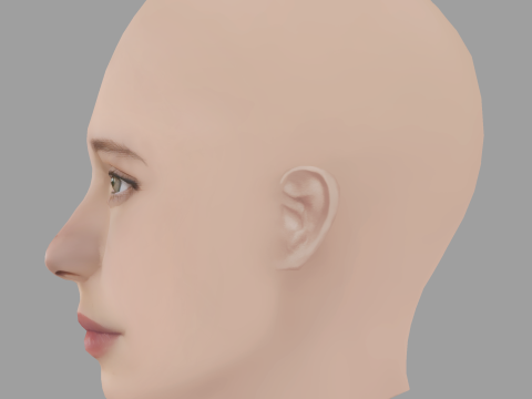 Dixie Egerickx Head - No Hair - Low poly head for game 3D Model