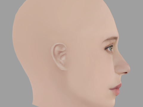 Dixie Egerickx Head - No Hair - Low poly head for game 3D Model