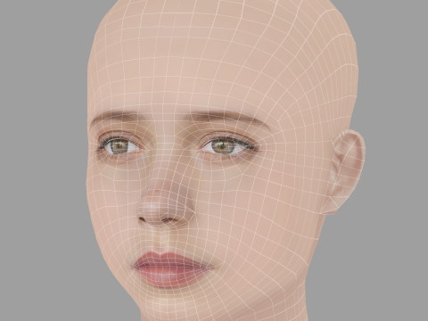 Dixie Egerickx Head - No Hair - Low poly head for game 3D Model